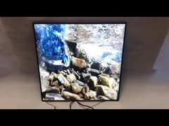 Marca BOE original 33 cuadrado del panel LCD 420Nits 1920*1920 del cuadrado de la pulgada que hace publicidad de la exhibición